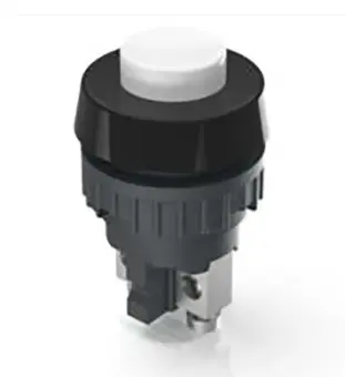 [109-158] Push button Switch : 1.10.001.001/0205 : RAFI